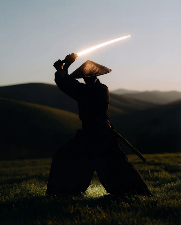 Samurai Twilight Silhouette