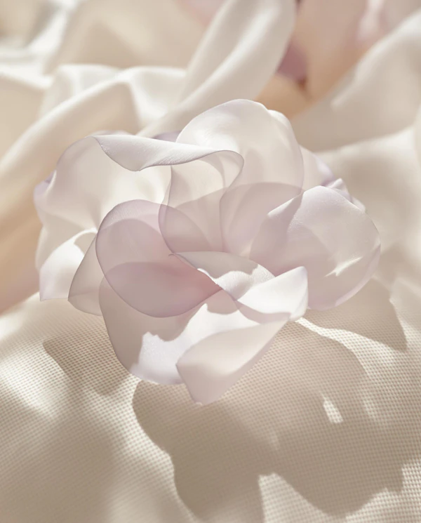 Delicate White Flower