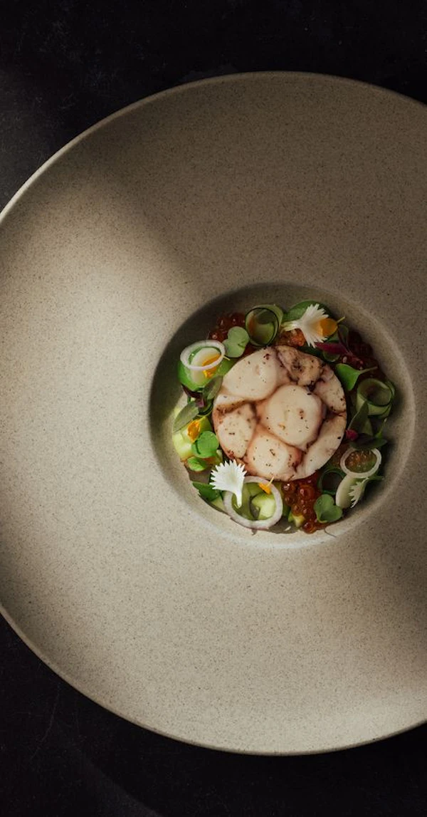 Gourmet Scallop Dish
