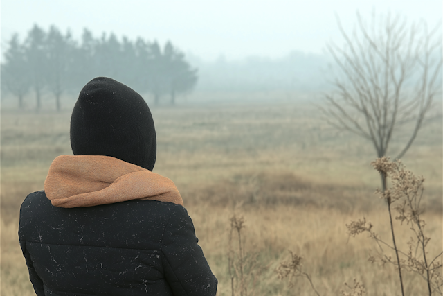 Contemplative Solitude in a Foggy Field