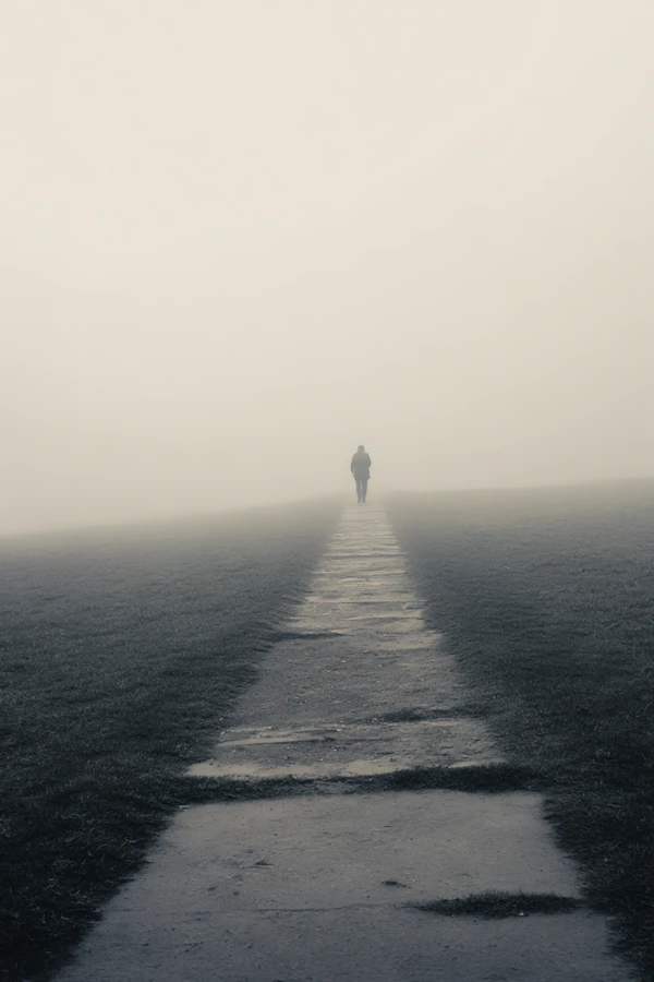Solitary Foggy Path