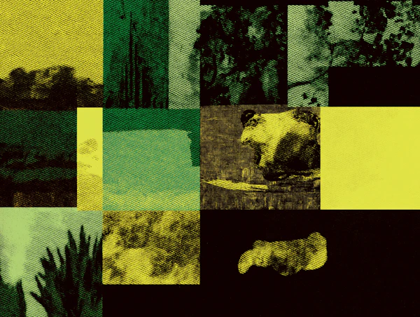 Retro Frog Collage