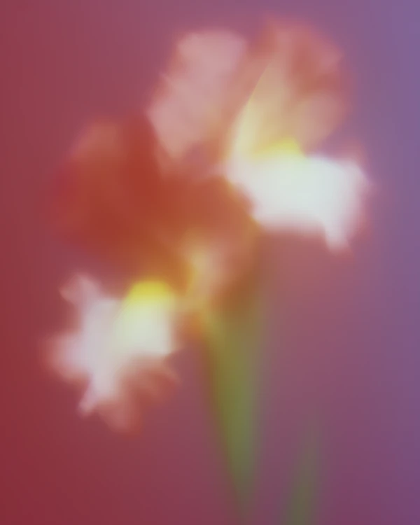 Ethereal Flower Glow