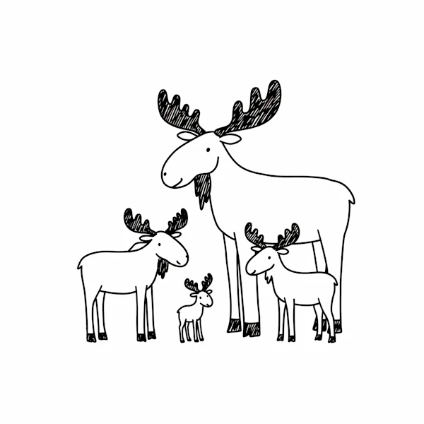 Moose Family Illustration