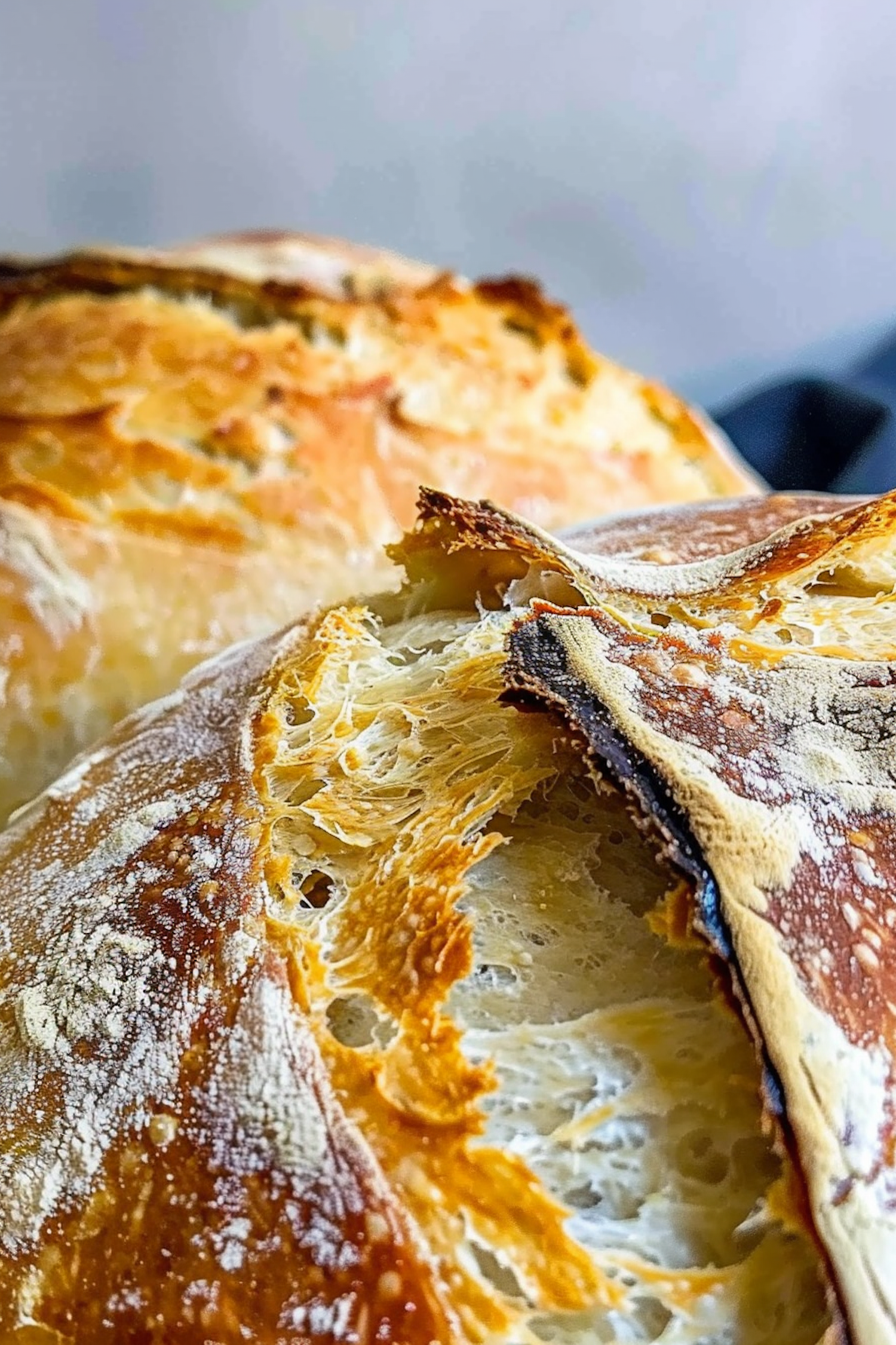 Artisanal Bread Close-Up