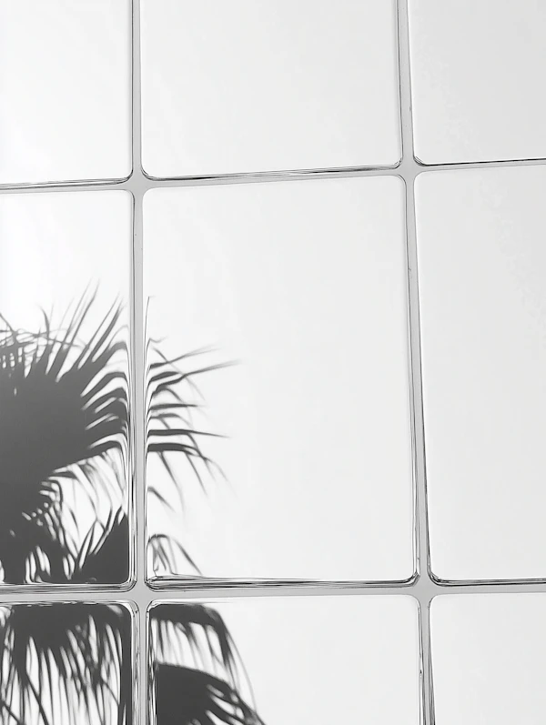 Palm Shadow on Tiles