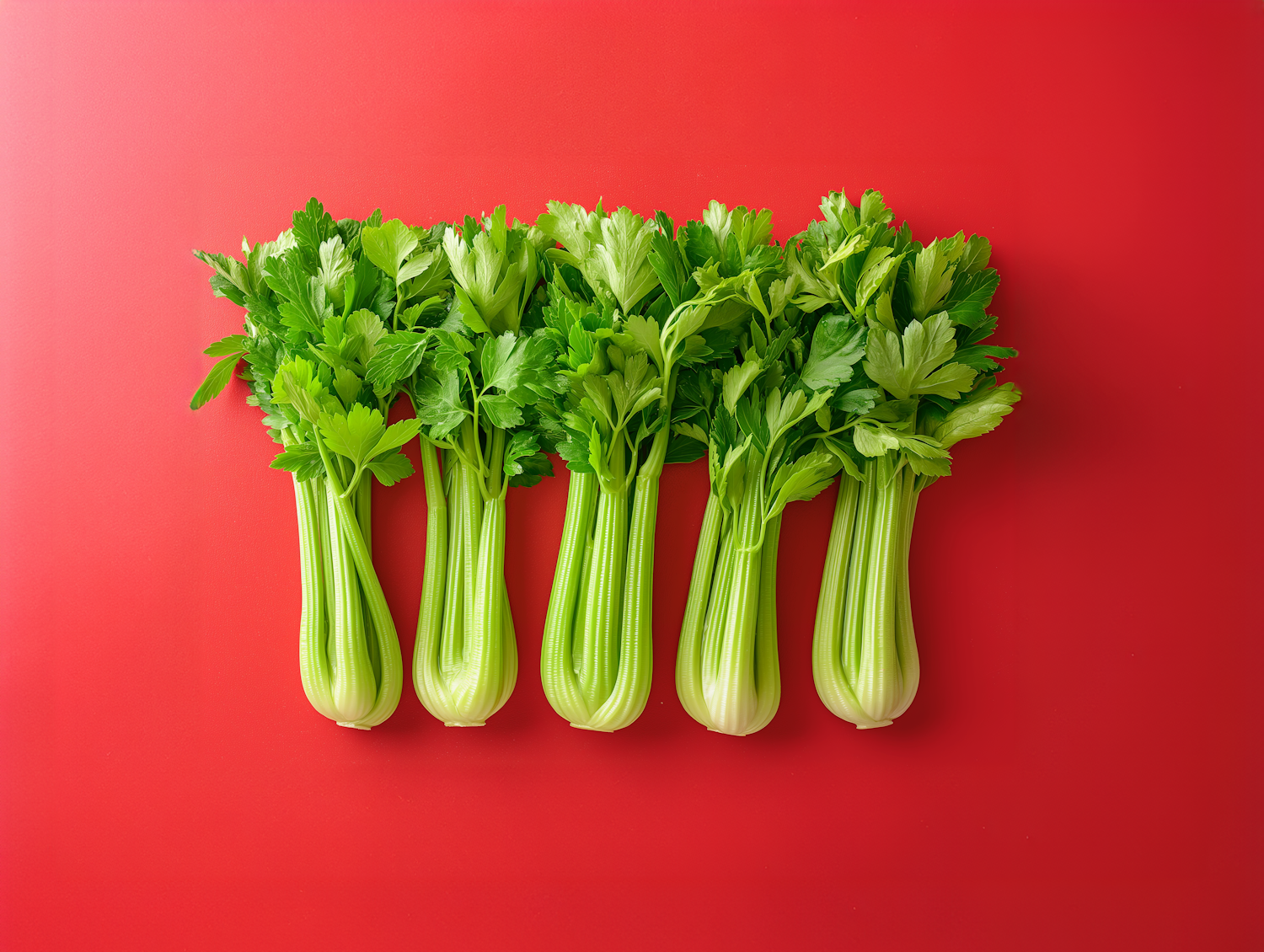 Vibrant Celery on Red Background