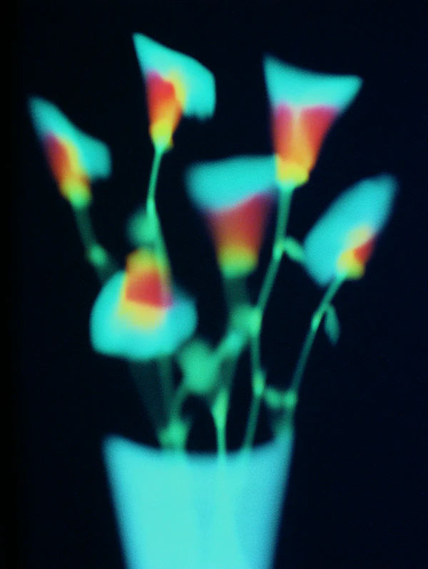 Neon Flower Bouquet