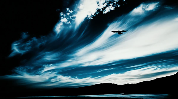 Moody Bird Landscape