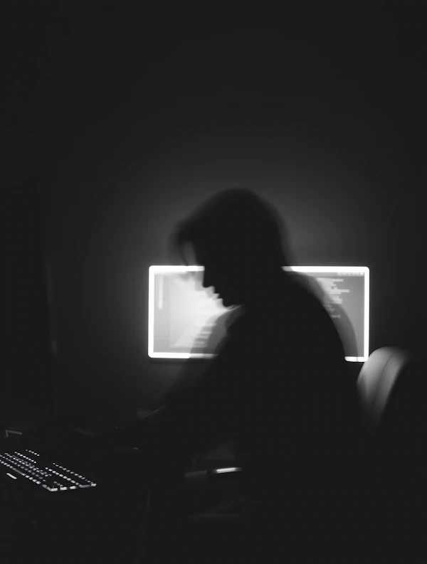 Silhouette at Computer