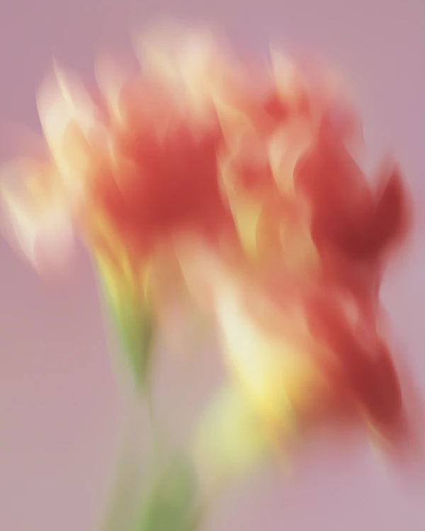 Abstract Flower Art