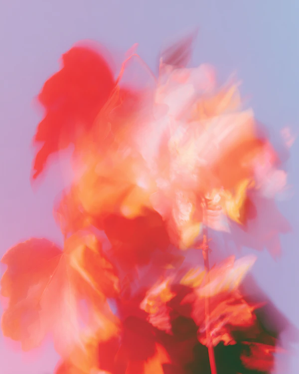 Autumnal Abstract Scene