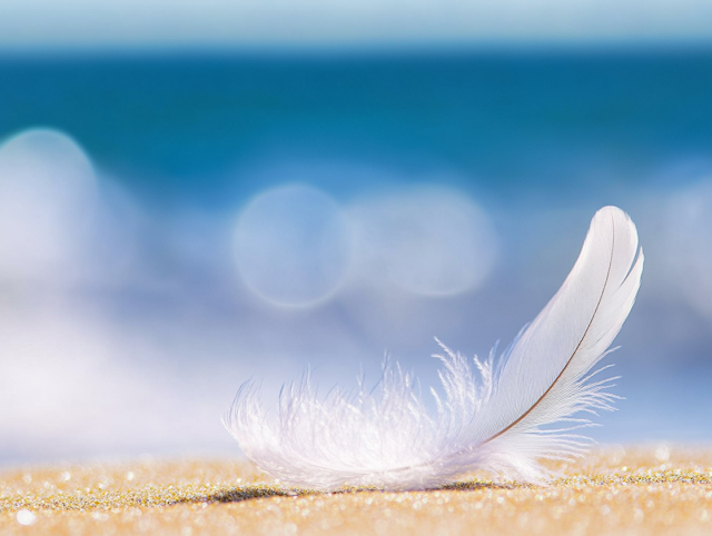 Feather on Sand