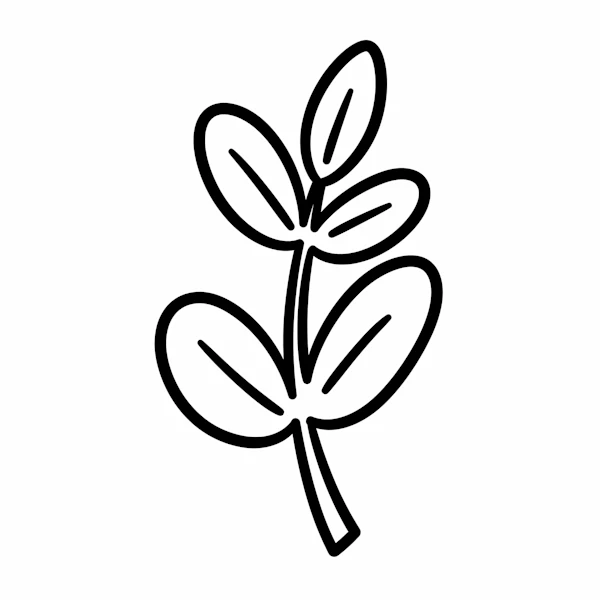 Minimalist Plant Drawing