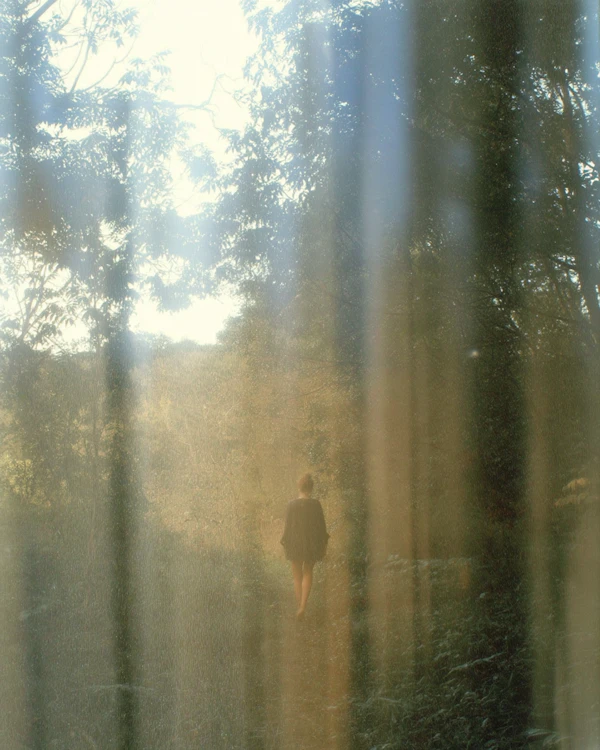 Dreamy Forest Walk