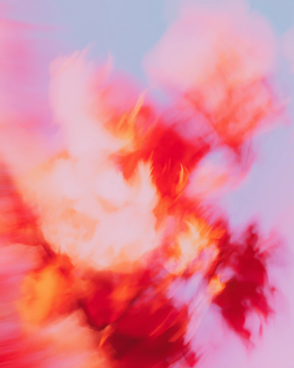 Vibrant Abstract Flow