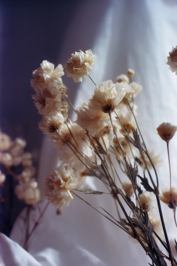 Delicate Dried Flowers