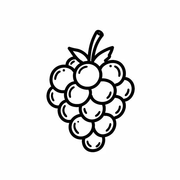 Grapes Line Drawing