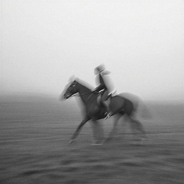 Dynamic Horse Rider
