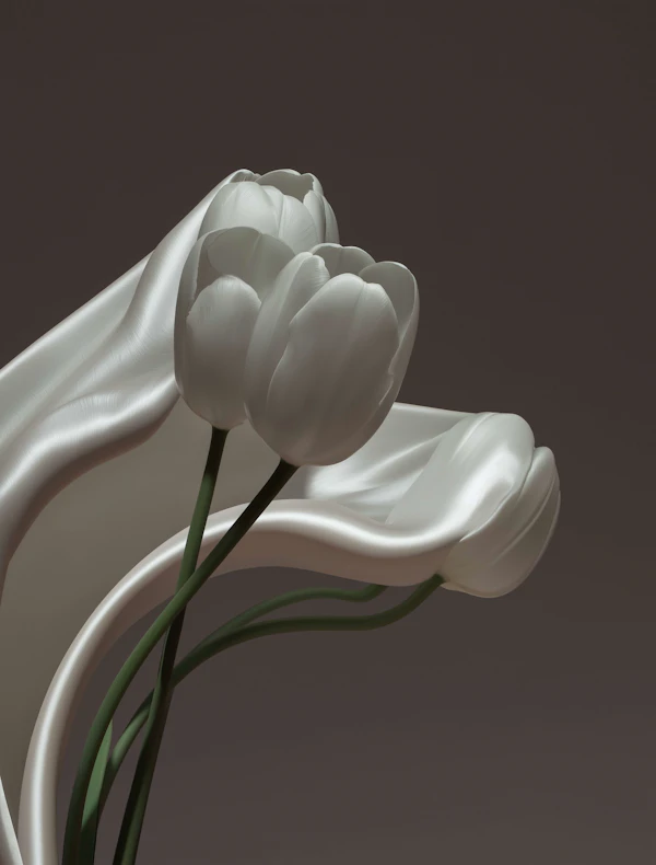Elegant White Tulips