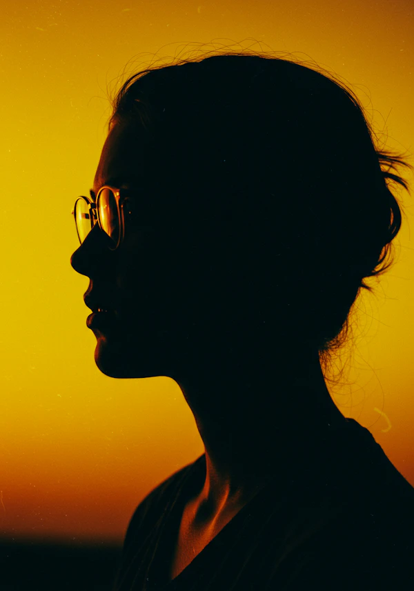 Silhouette Against Sunset