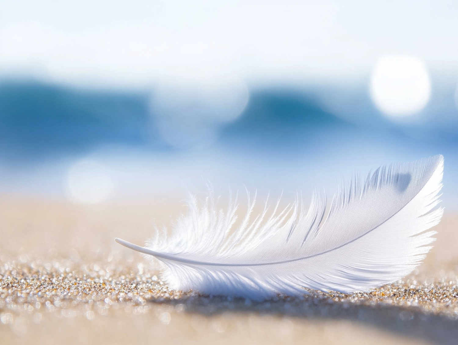 Feather on Sandy Beach