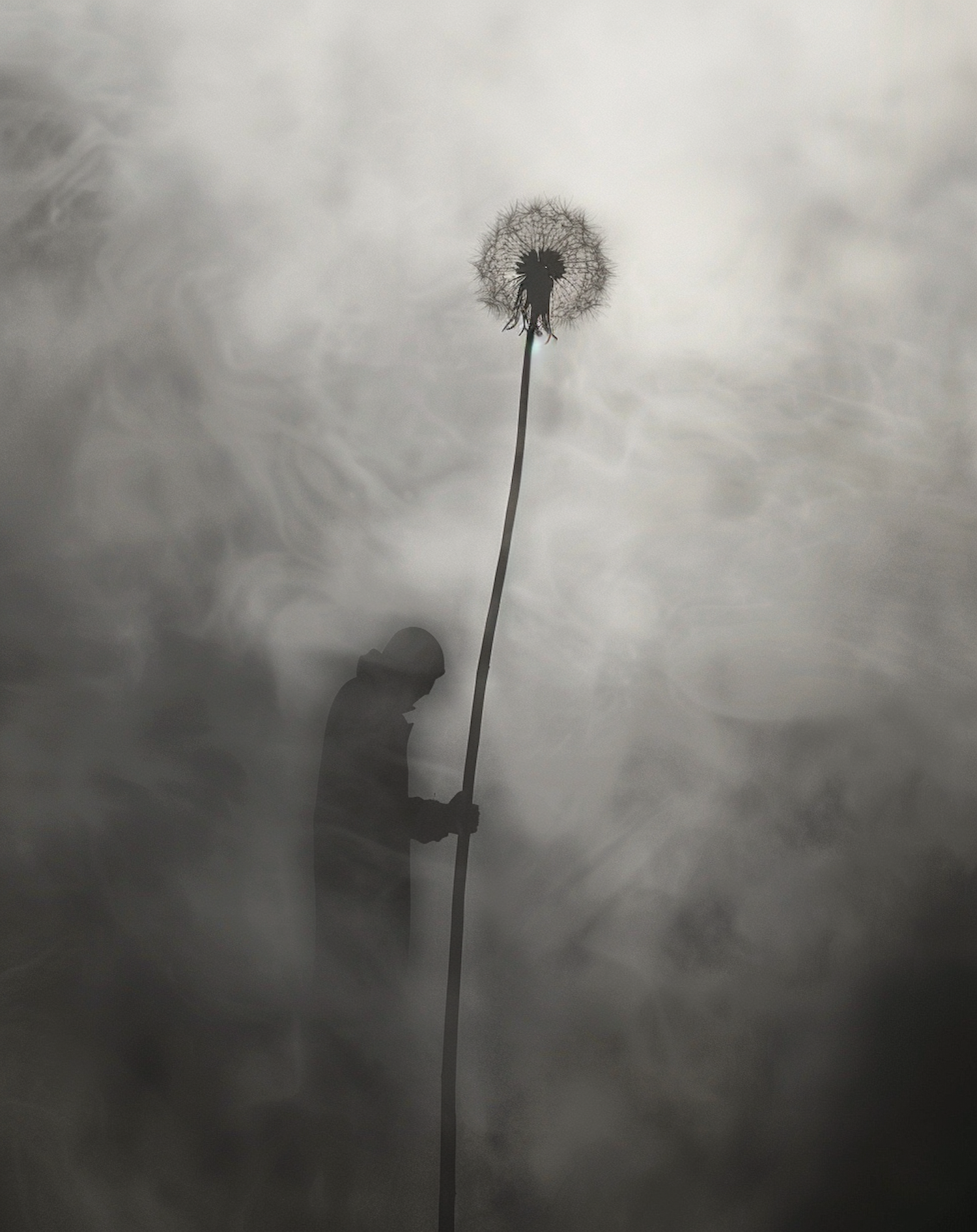 Surreal Dandelion in Monochrome