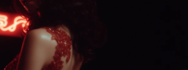 Red Glittering Garment