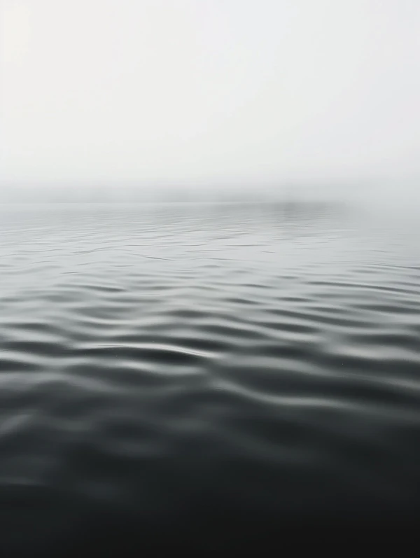 Serenity in Monochrome