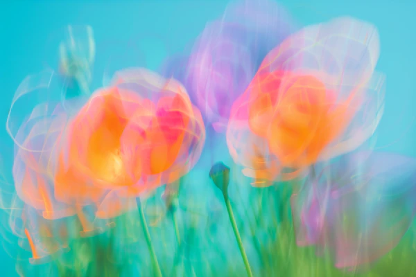 Abstract Floral Dream
