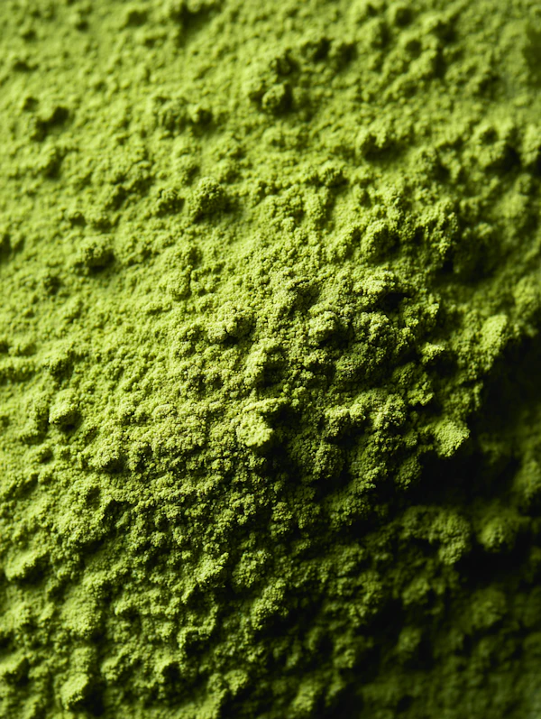 Vibrant Green Texture