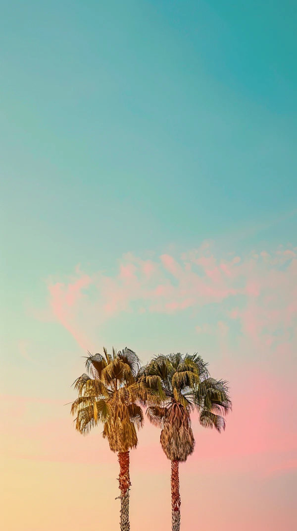 Serene Palm Trees at Sunrise/Sunset