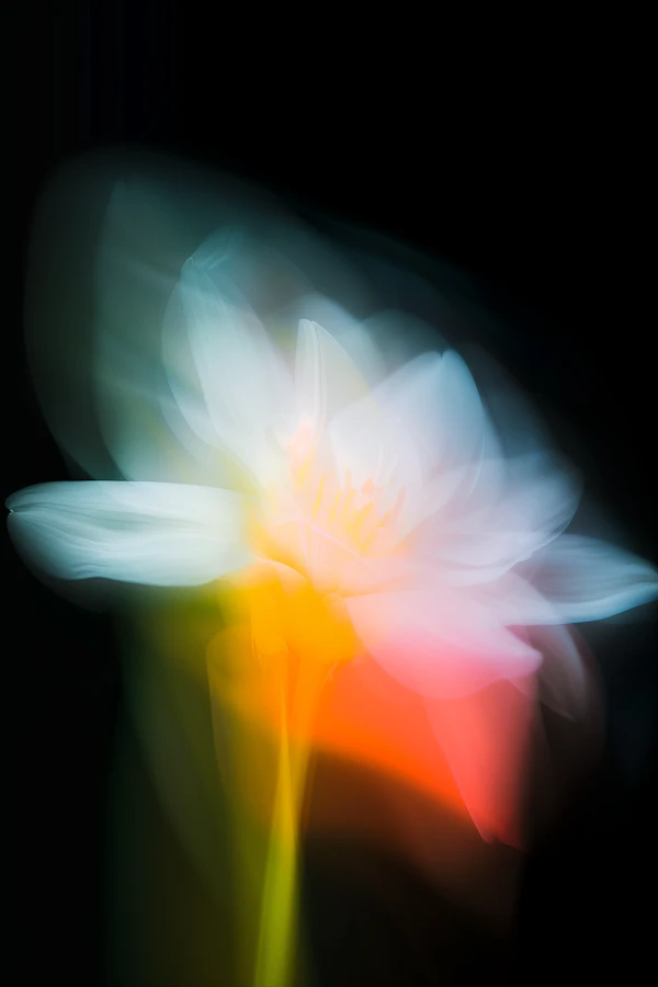 Ethereal Flower Glow