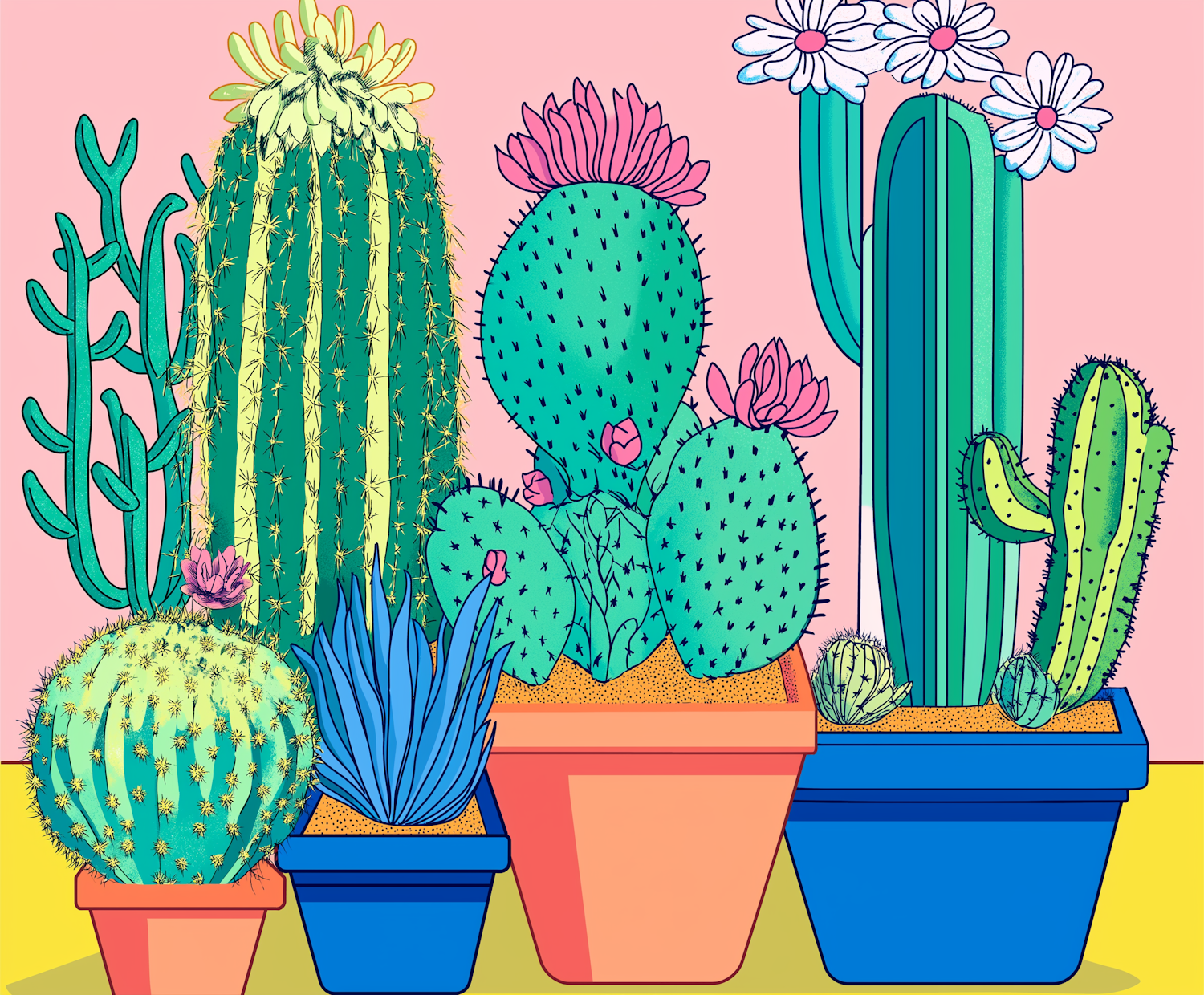 Whimsical Cacti Collection