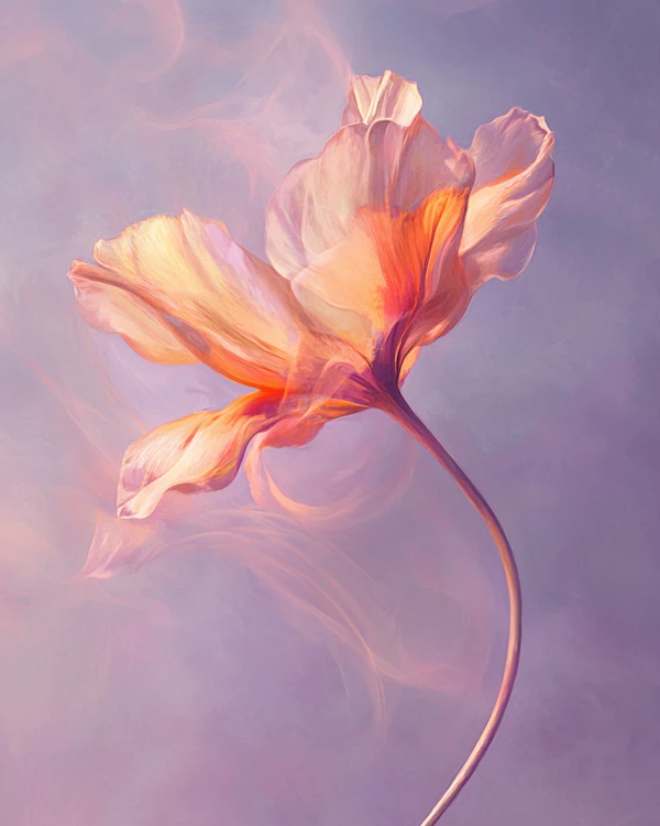 Ethereal Flower Art