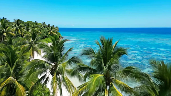 Tropical Beach Scene