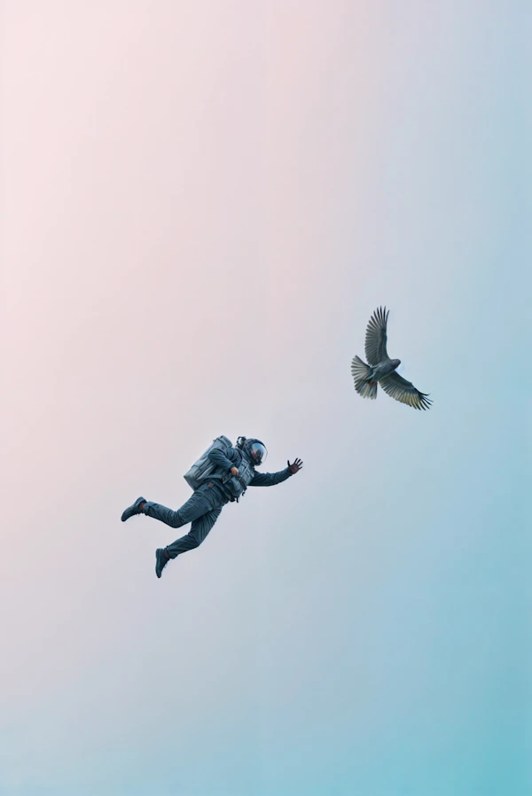 Astronaut and Bird in Flight