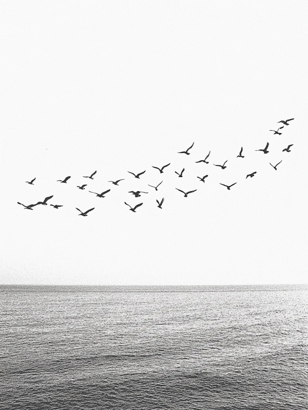 Flock in Flight