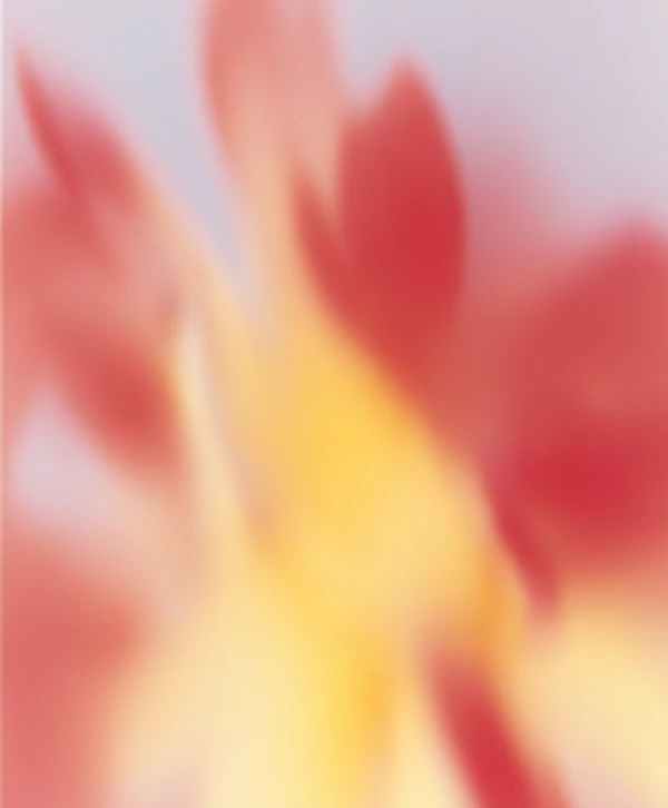 Abstract Warm Gradient