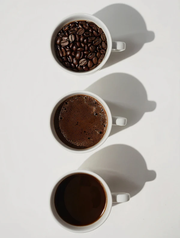 Coffee Preparation Stages