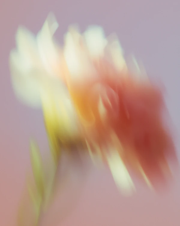 Dreamy Blurred Flower