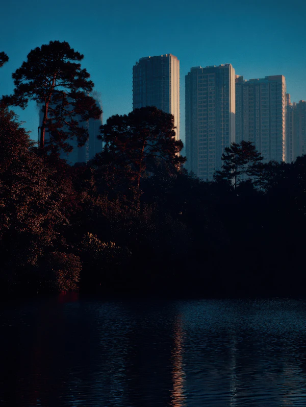 Urban Nature Reflection