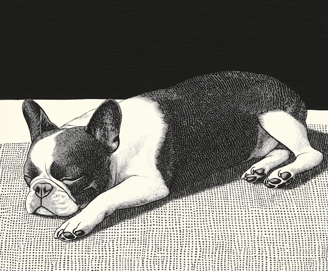 Sleeping French Bulldog Illustration