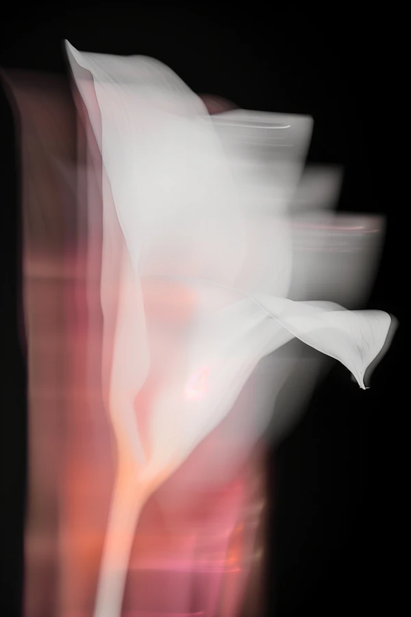 Surreal White Flower