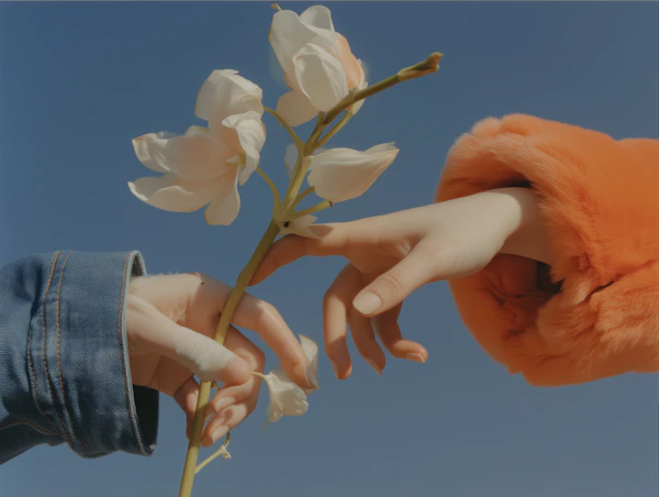 Hands and Flower Harmony