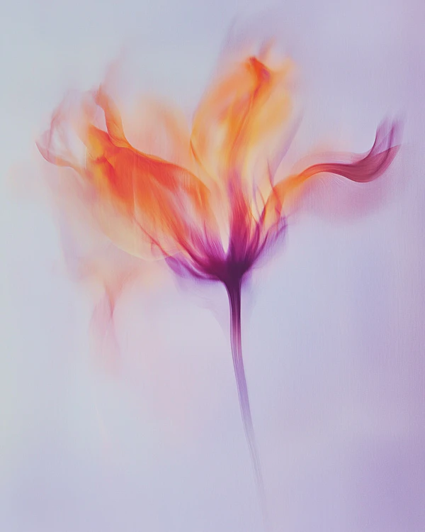 Abstract Flower Art