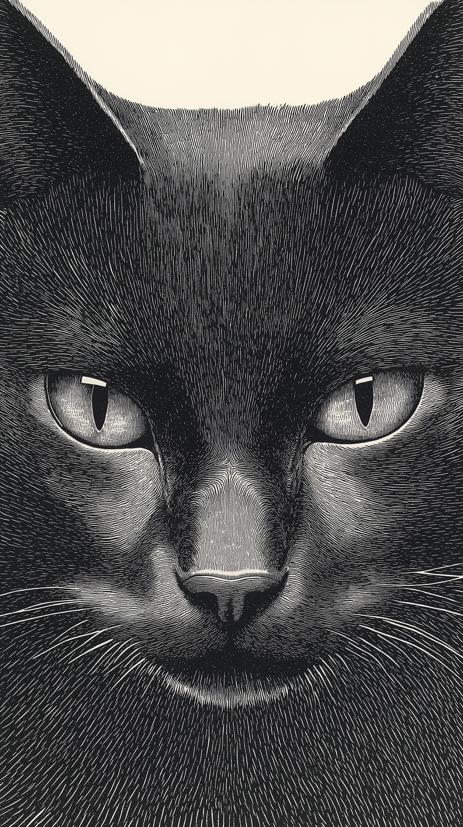 Black and White Cat Illustration