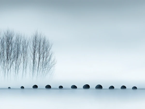 Misty Minimalist Scene