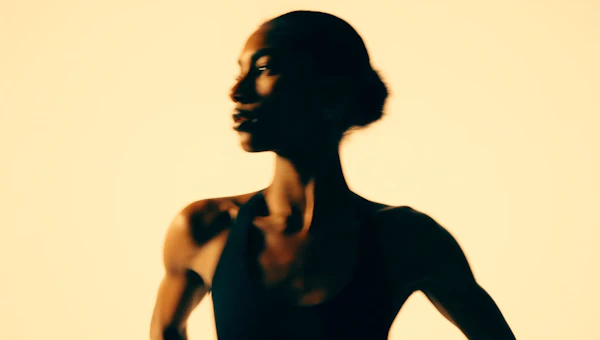 Silhouette in Warm Light