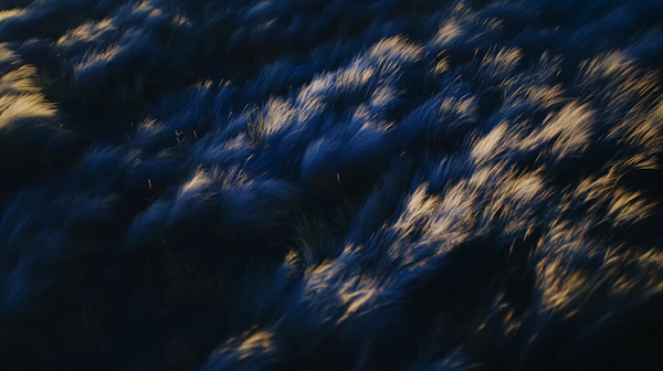 Serene Grass Field